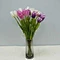 life like tulips